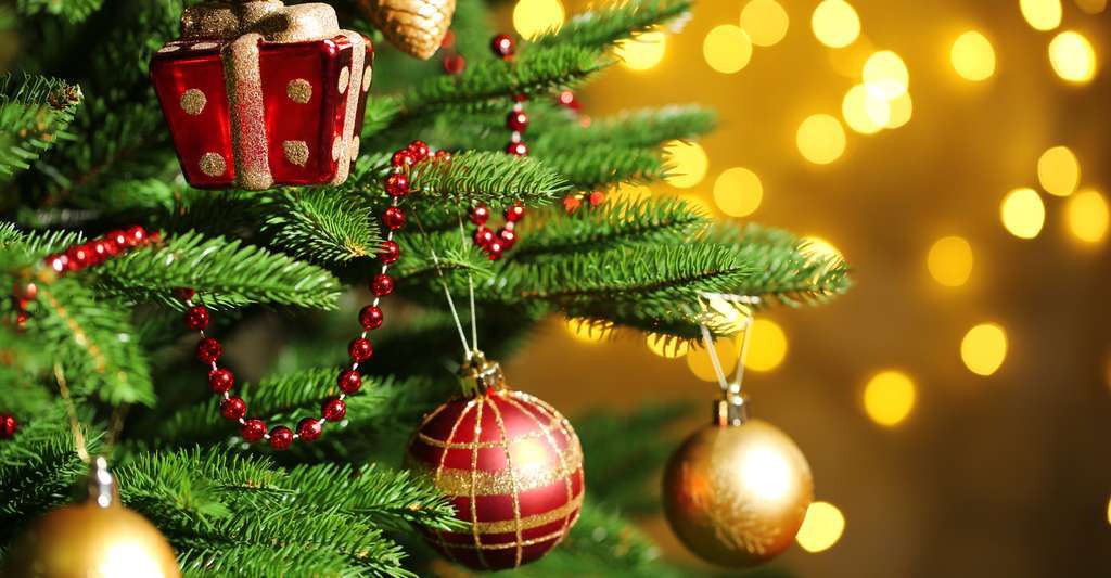 Dépenses & finance : Comment bien préparer la période de Noël
